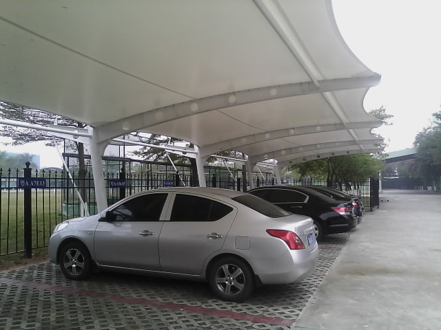 1534141474733024.jpg IMG0256A.jpg